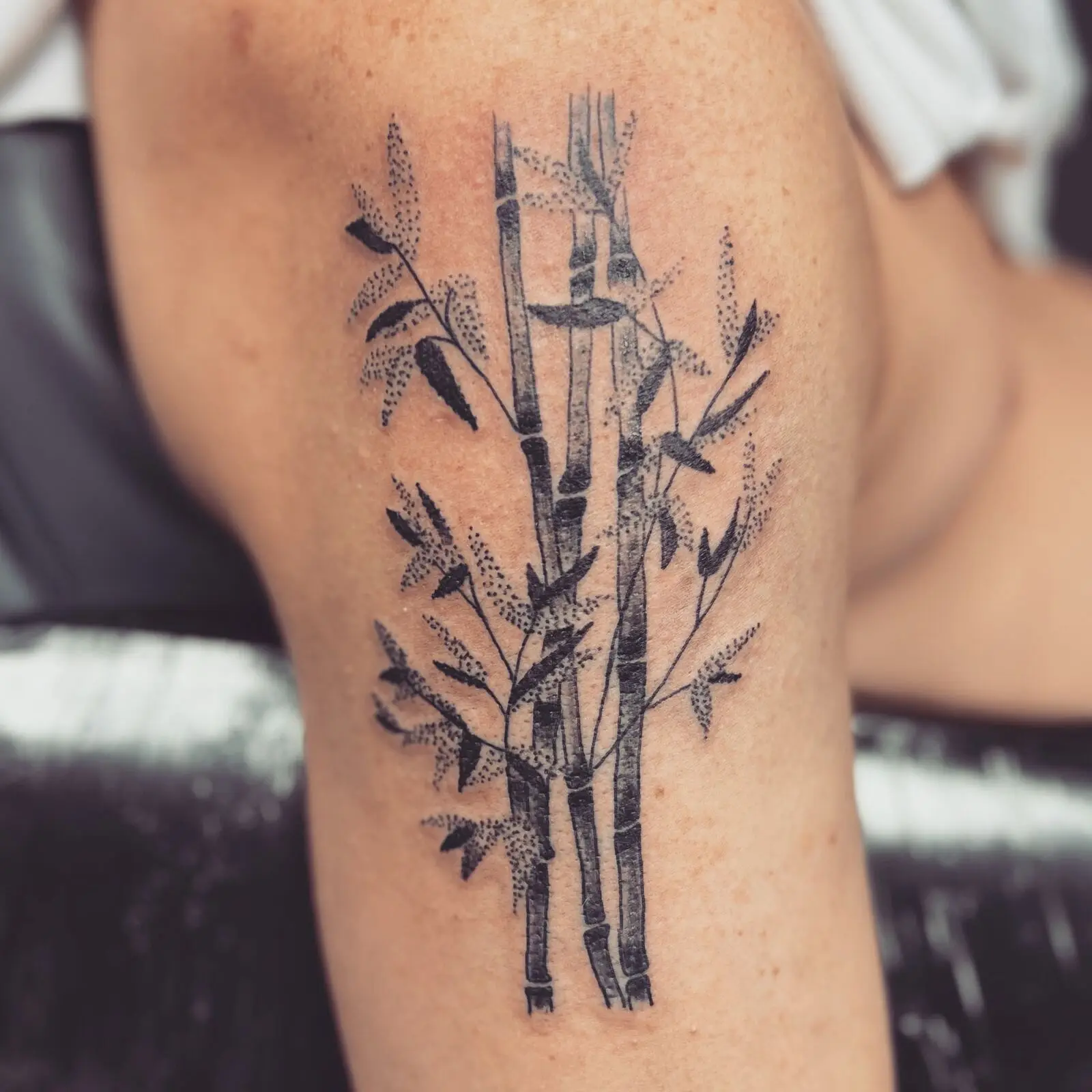 Black and grey bamboo stalk tattoo with dotwork leaves on the upper arm