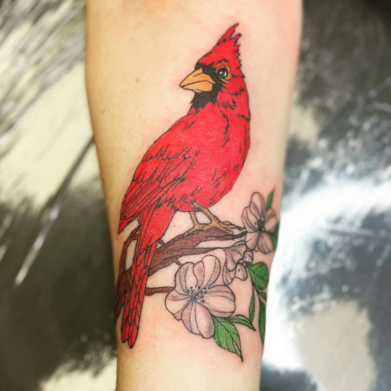 Vibrant red cardinal perched on a branch with soft pink dogwood blossoms and green leaves, illustrative arm tattoo by Carly