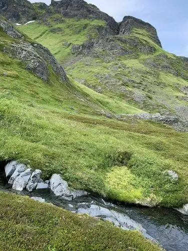Reference photo of a green highland mountain stream landscape used for inspiration