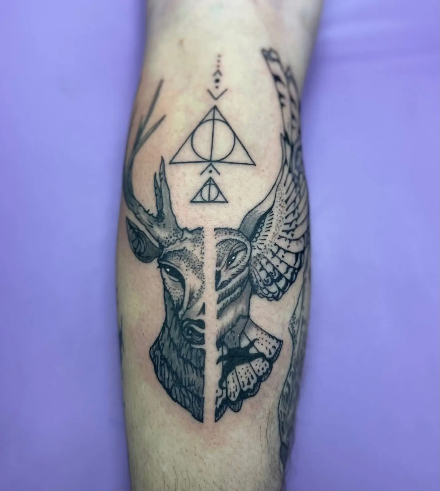 Split black and grey calf tattoo of a stag and a barn owl mirrored under the Harry Potter Deathly Hallows symbol, by Carly