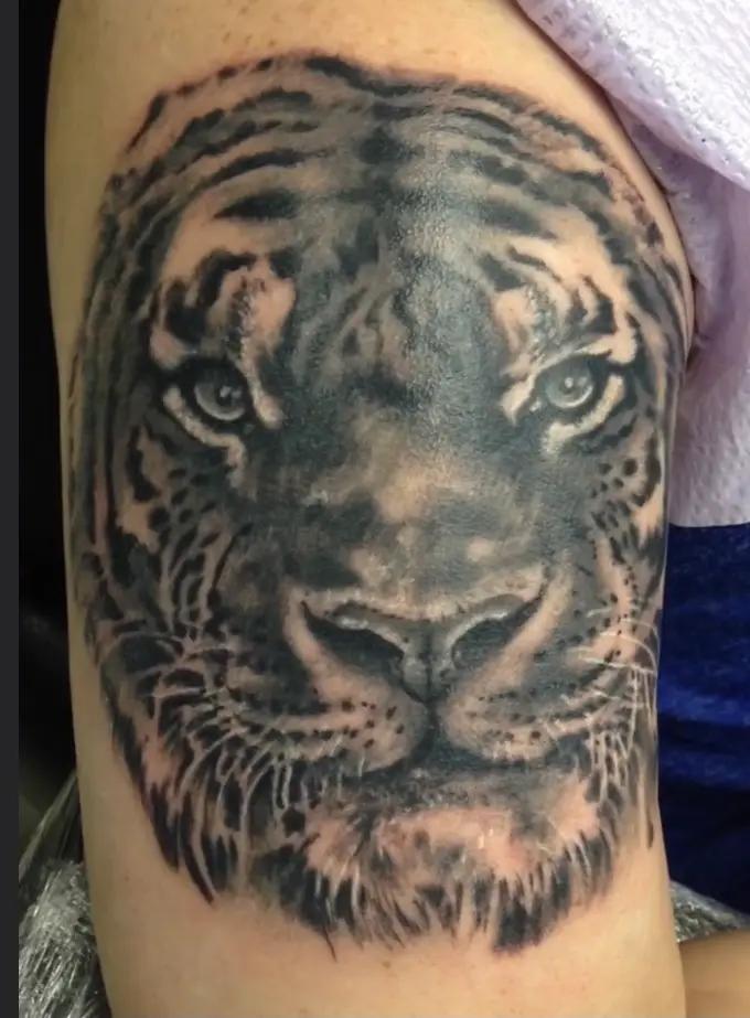 Black and grey realism tiger face portrait tattoo on upper arm